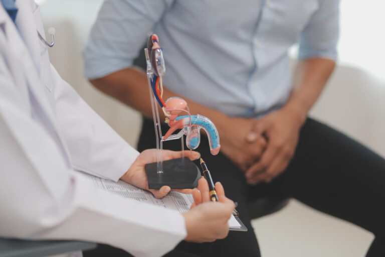 Comprendre le mécanisme de l’érection Solution Urologie — free download
